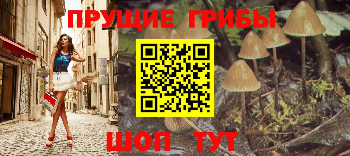 Псилоцибиновые грибы MAGIC MUSHROOMS  Вход с VPN  Великий Новгород  Галлюциногенные грибы прущие грибы 