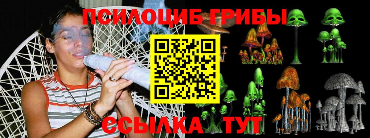 Псилоцибиновые грибы Cubensis Великий Новгород